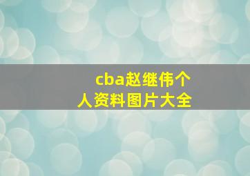 cba赵继伟个人资料图片大全