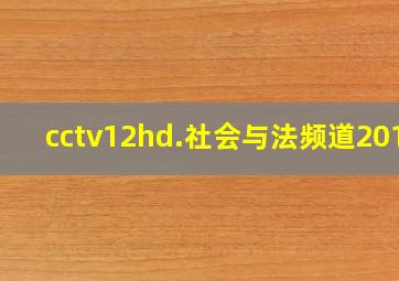 cctv12hd.社会与法频道2013