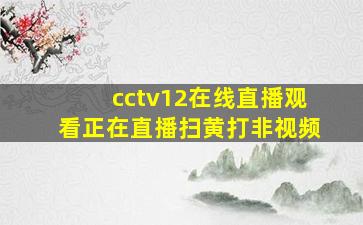 cctv12在线直播观看正在直播扫黄打非视频