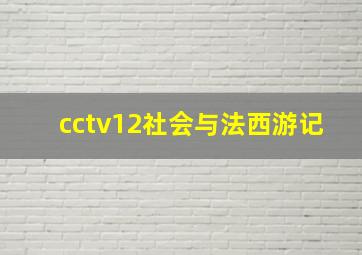 cctv12社会与法西游记