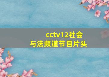 cctv12社会与法频道节目片头