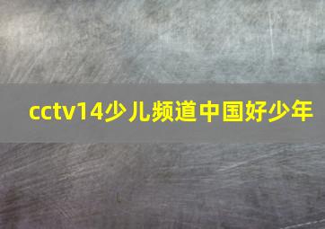 cctv14少儿频道中国好少年