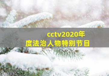 cctv2020年度法治人物特别节目