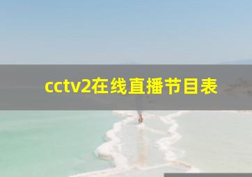 cctv2在线直播节目表