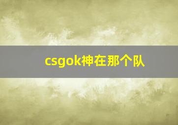 csgok神在那个队