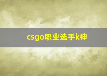 csgo职业选手k神