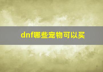 dnf哪些宠物可以买