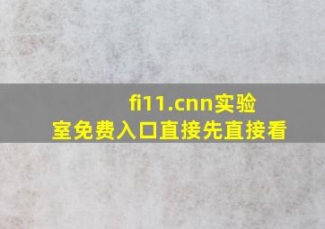 fi11.cnn实验室免费入口直接先直接看