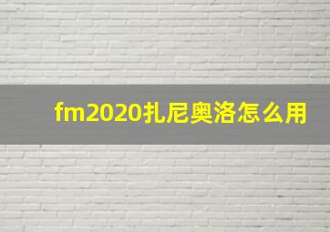 fm2020扎尼奥洛怎么用