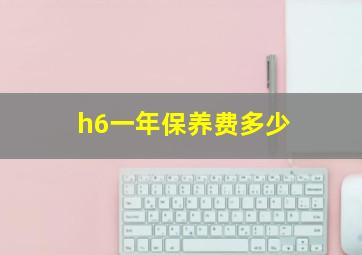 h6一年保养费多少