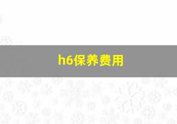 h6保养费用