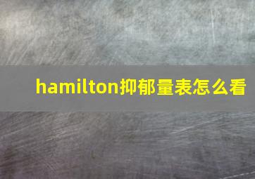 hamilton抑郁量表怎么看