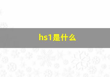 hs1是什么