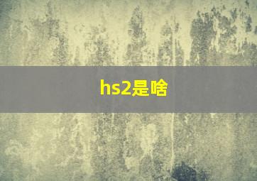 hs2是啥