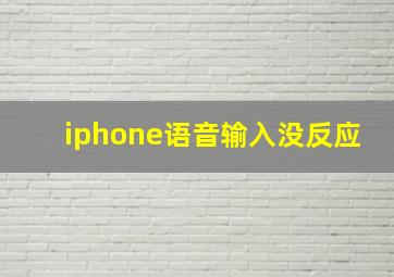 iphone语音输入没反应