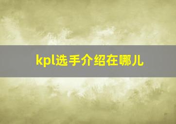 kpl选手介绍在哪儿