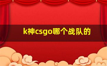 k神csgo哪个战队的