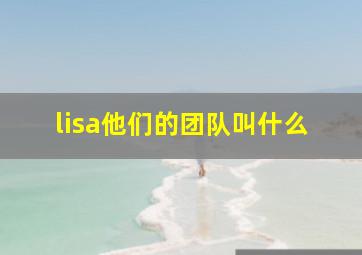 lisa他们的团队叫什么