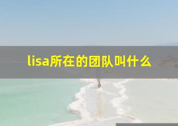 lisa所在的团队叫什么