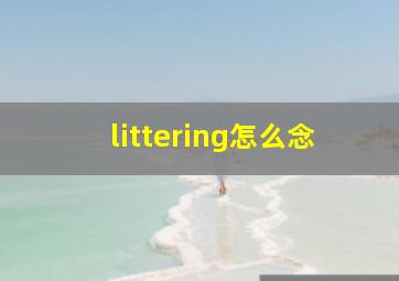 littering怎么念