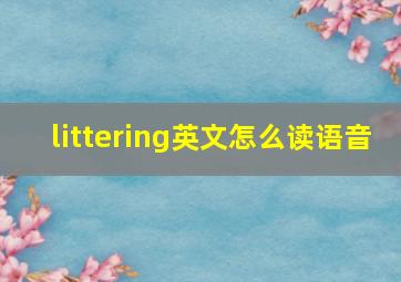 littering英文怎么读语音