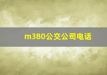 m380公交公司电话