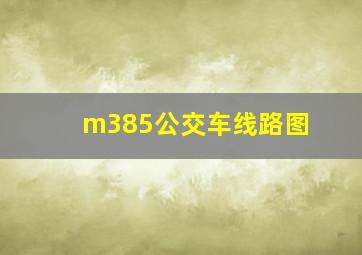 m385公交车线路图