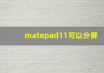 matepad11可以分屏