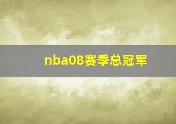 nba08赛季总冠军