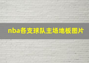 nba各支球队主场地板图片