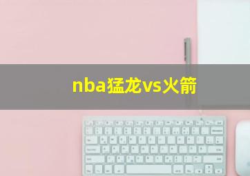 nba猛龙vs火箭