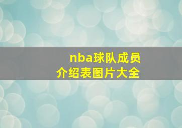 nba球队成员介绍表图片大全