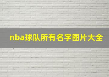 nba球队所有名字图片大全