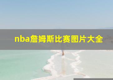 nba詹姆斯比赛图片大全