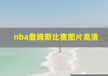 nba詹姆斯比赛图片高清