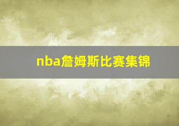 nba詹姆斯比赛集锦