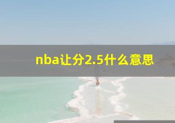 nba让分2.5什么意思