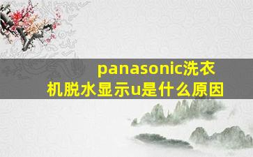 panasonic洗衣机脱水显示u是什么原因