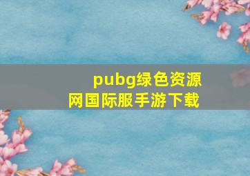 pubg绿色资源网国际服手游下载