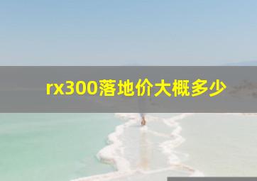 rx300落地价大概多少