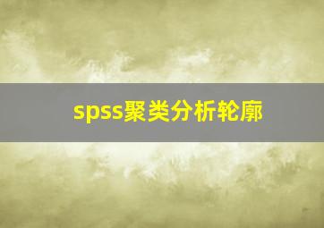 spss聚类分析轮廓