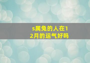 s属兔的人在12月的运气好吗