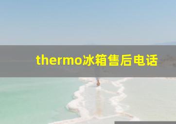 thermo冰箱售后电话