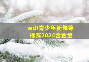 wdt青少年街舞锦标赛2024含金量