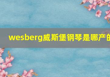 wesberg威斯堡钢琴是哪产的