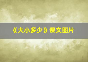 《大小多少》课文图片