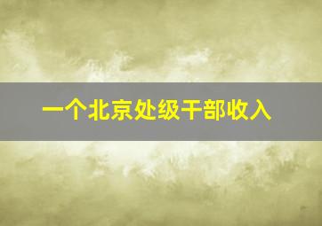 一个北京处级干部收入