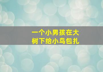 一个小男孩在大树下给小鸟包扎