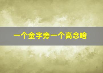 一个金字旁一个高念啥