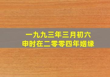 一九九三年三月初六申时在二零零四年姻缘